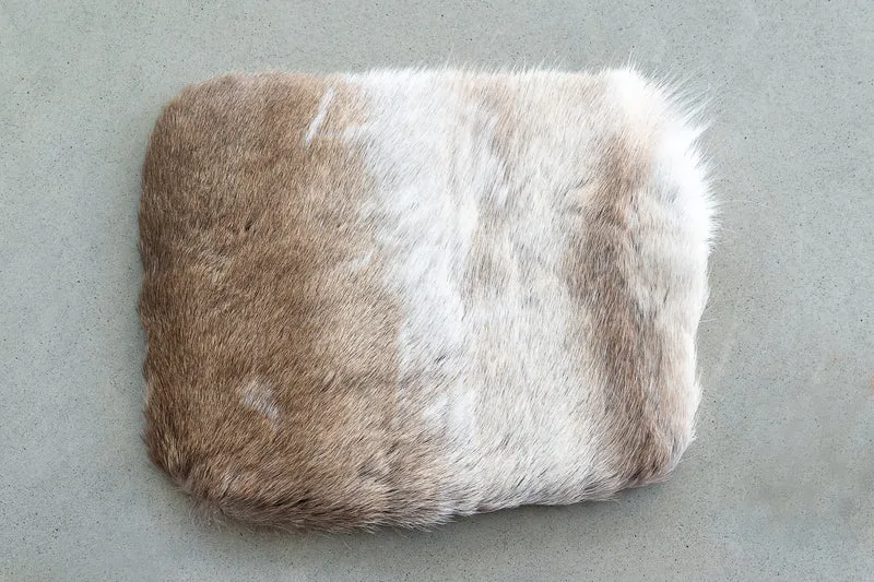 Hälsodynan
