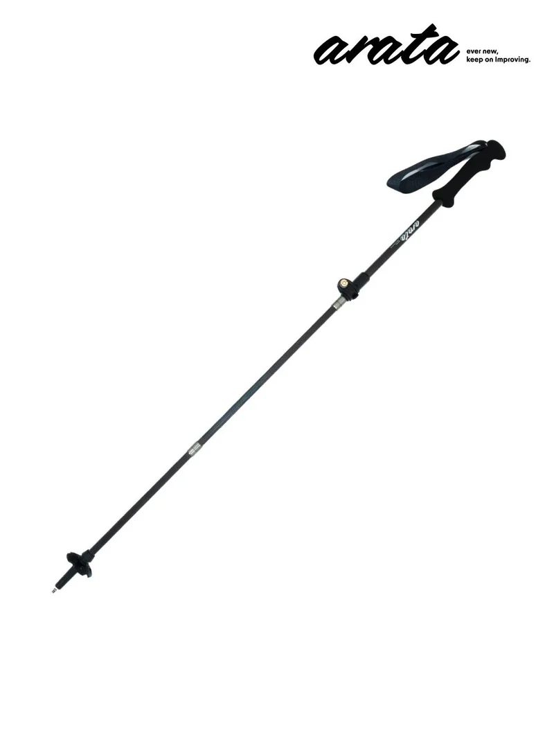 ATP-125 Ver.2.0（1本）｜arata