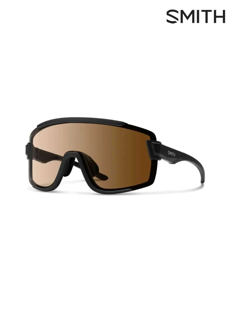 Wildcat Asia Fit CP-Photochromic Brown & Clear #Matte Black [205000925]｜SMITH