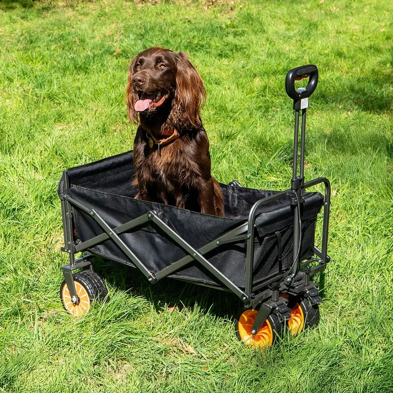 Electric Camping Trolley Wagon