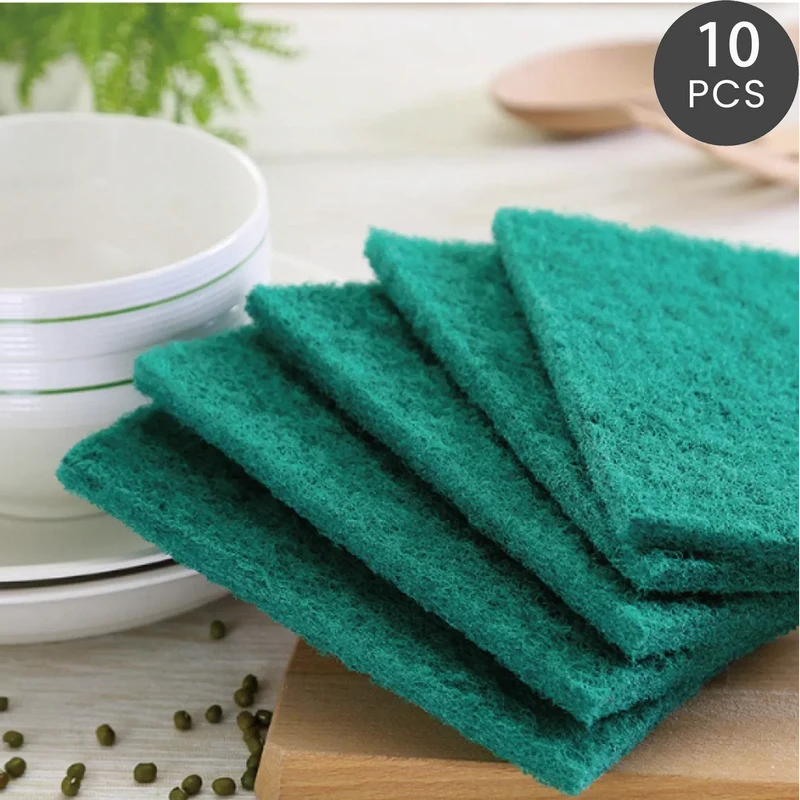 10pc Kitchen Souring Pads