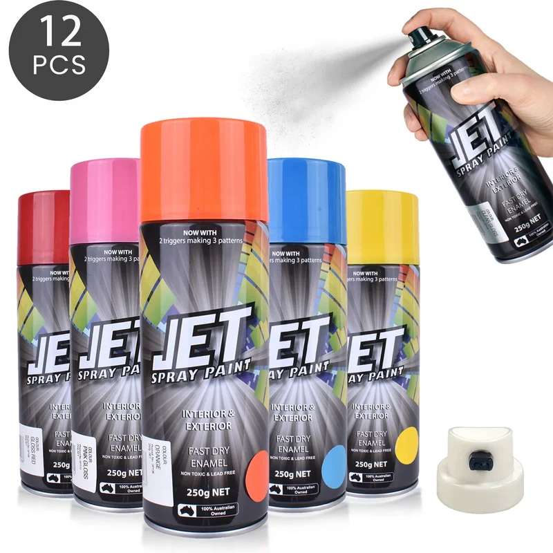 Black 12pc 250g Spray Paint Can