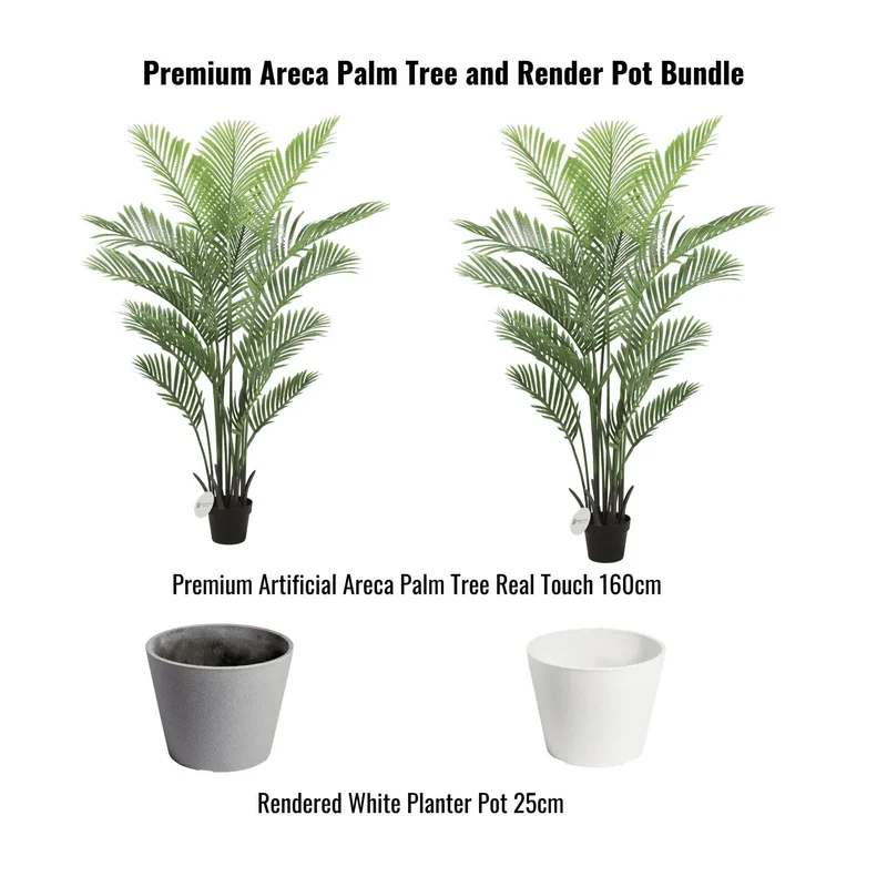Premium Areca Palm Tree & Render Pot Bundle