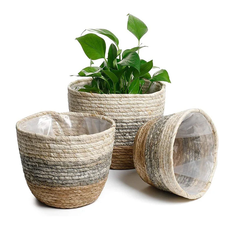 Woven Seagrass Plant Basket Style B