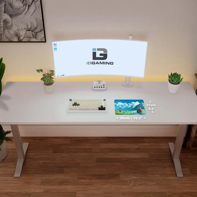 Slottet vid sjön