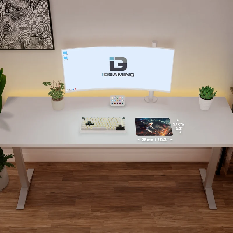 Dragon Mecha Robot