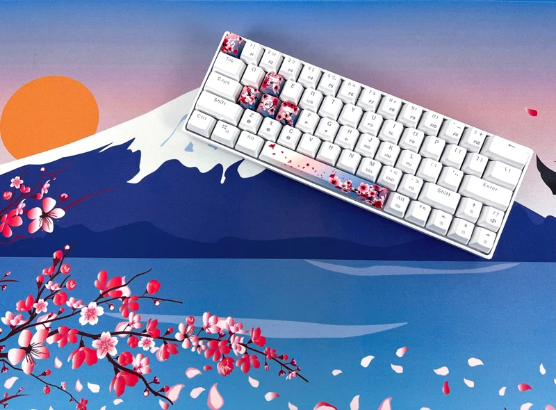 Sakura (Dawn) Bundle