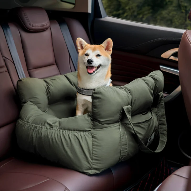 TILLFÄLLIGT 50% OFF | PawLounger™